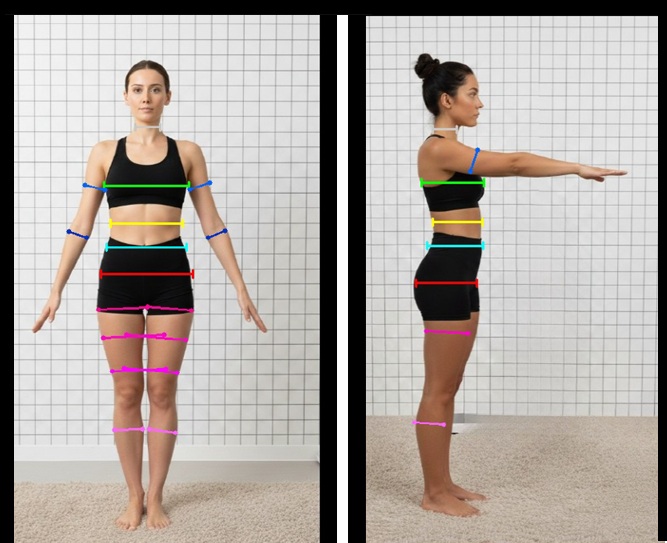 Avaliação de composição corporal feminina e percentual de gordura por foto no EvoluNutri IA
